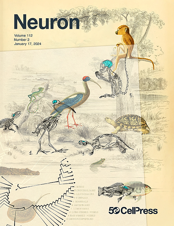 Go to journal home page - Neuron